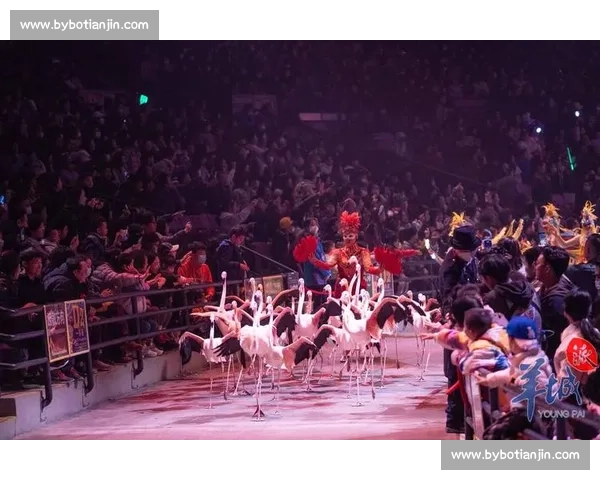 长隆大马戏震撼升级！全球最大 7000 人场馆开启沉浸式奇幻之旅